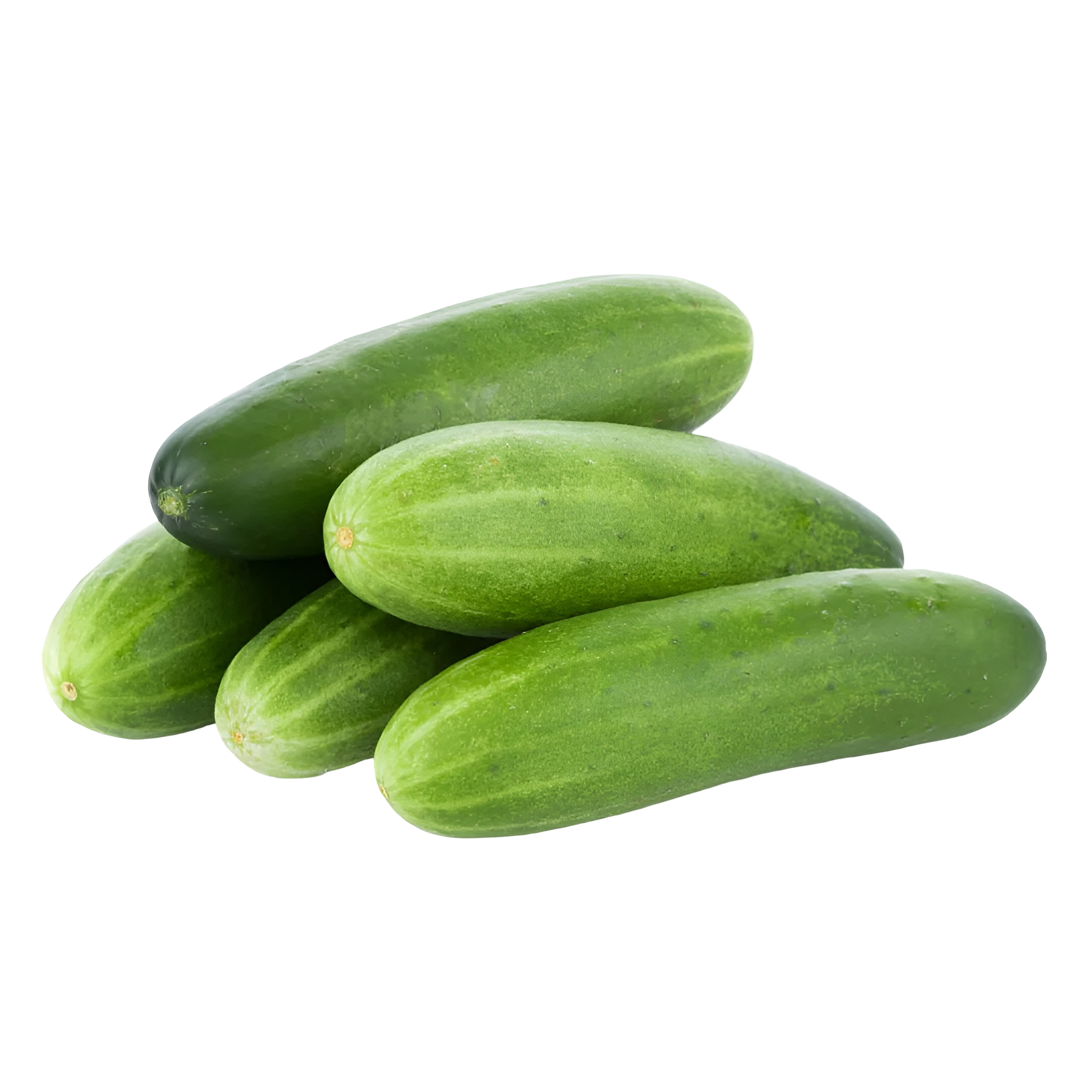 Okra