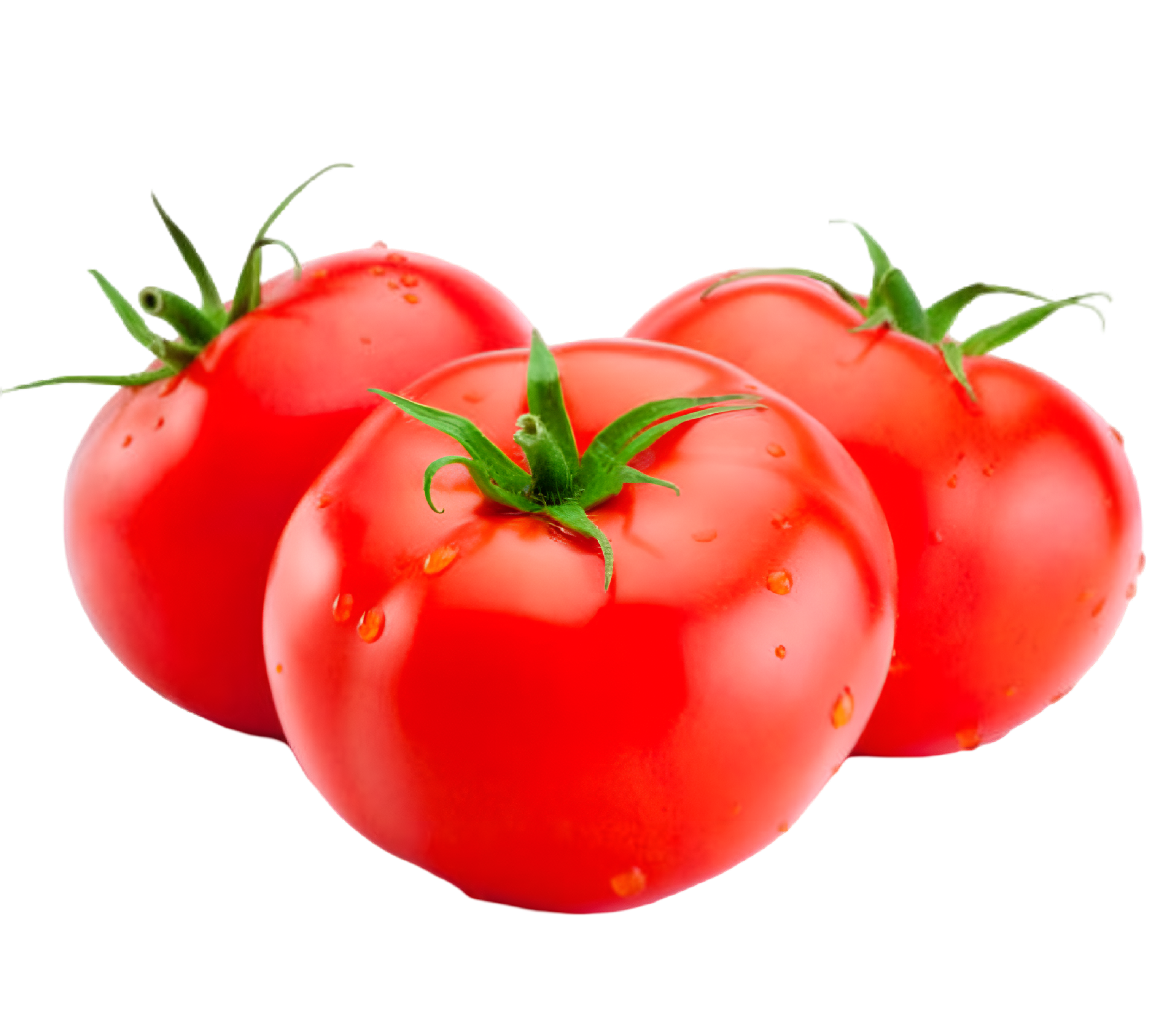 Tomato
