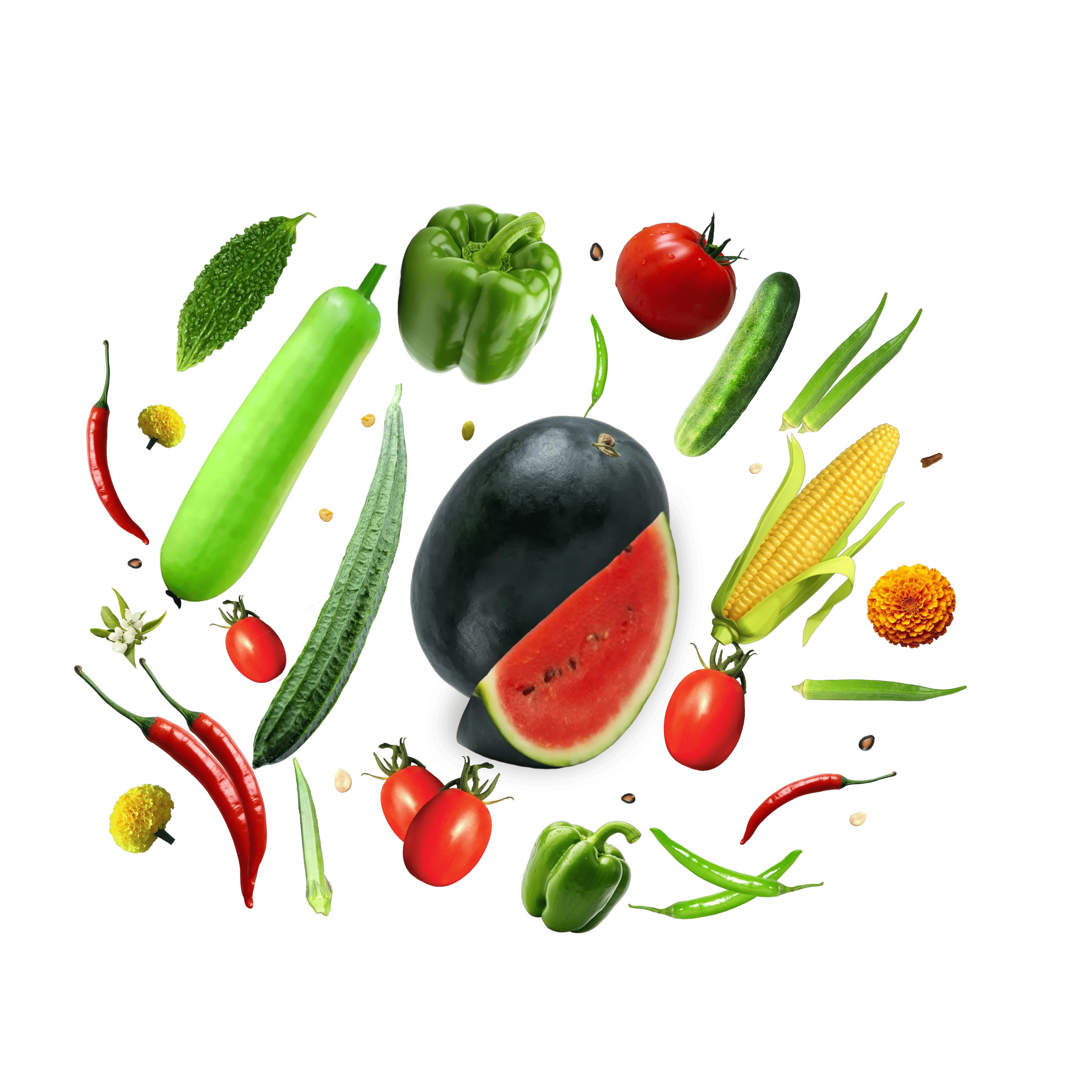 all-vegitables